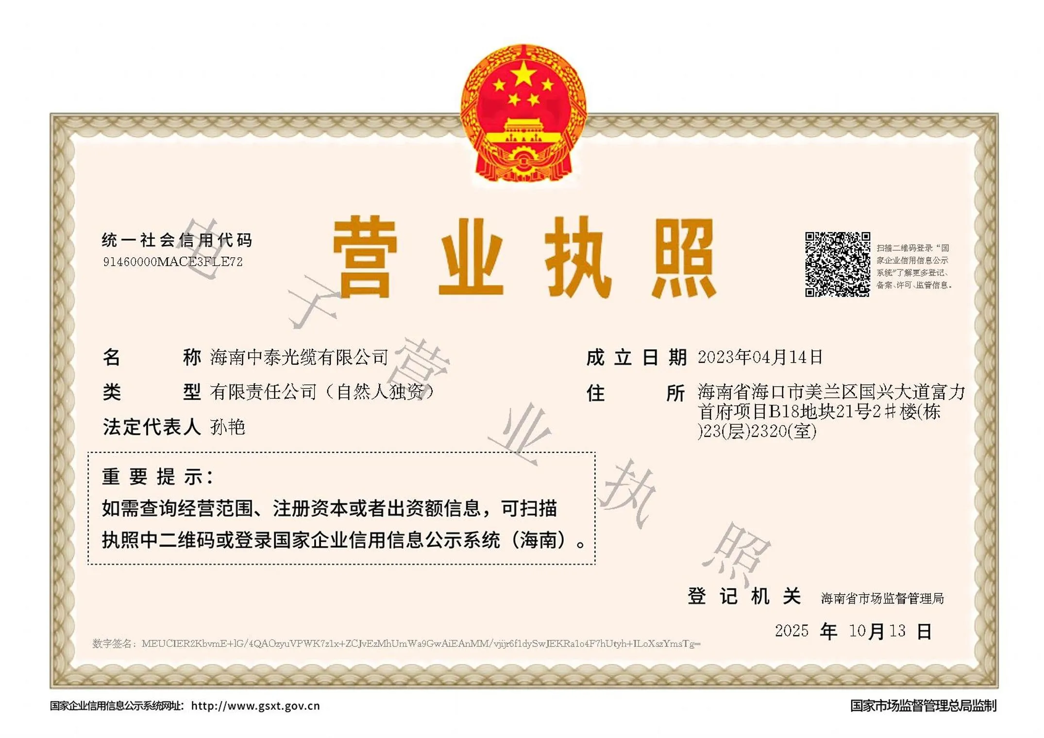海南中泰光缆有限公司营业执照